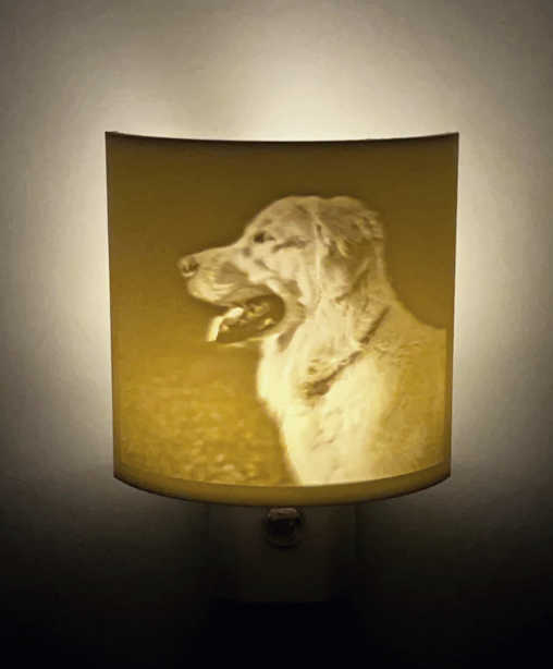 Custom Night Light